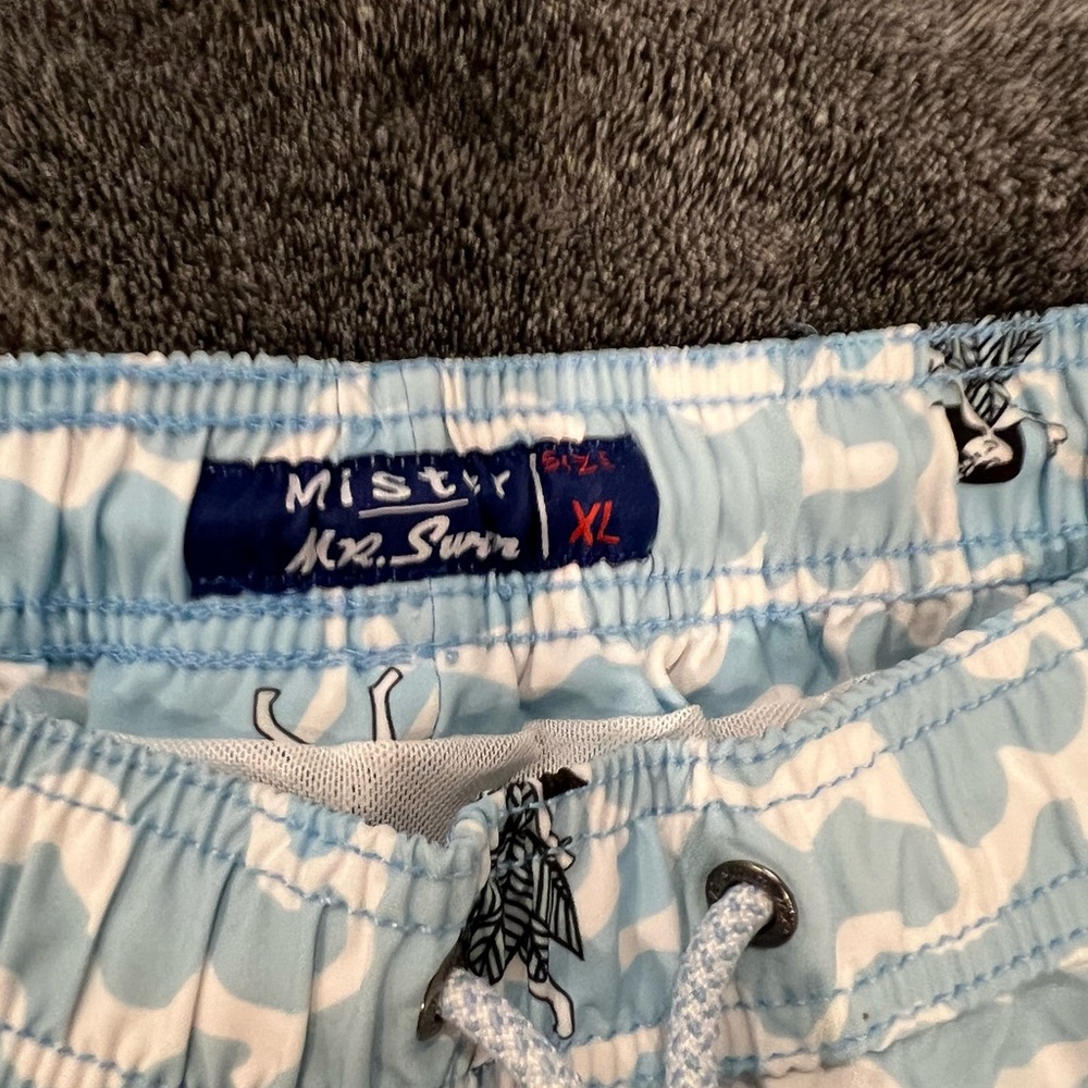 Mr. Swim Swim Trunks - Picture 3 of 4